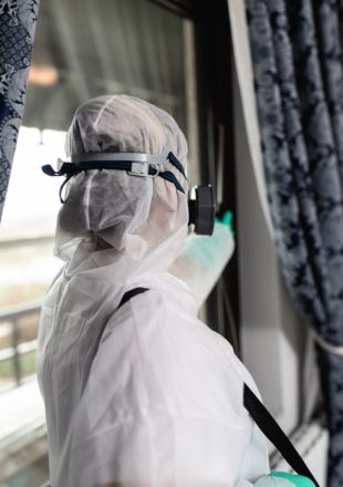 Euregional Kammerjäger - Aachen - Schädlingsbekämpfung - Wespenbekämpfung - Ameisenbekämpfung